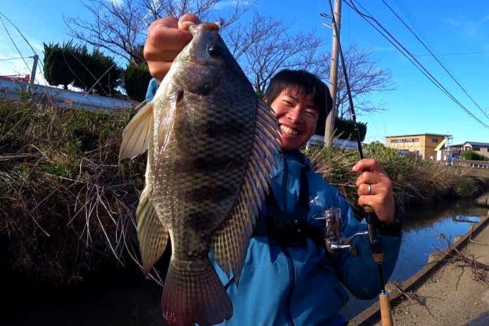 ティラピア 釣り
