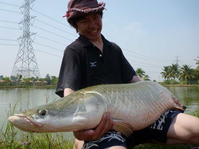 ピラルク　釣り堀