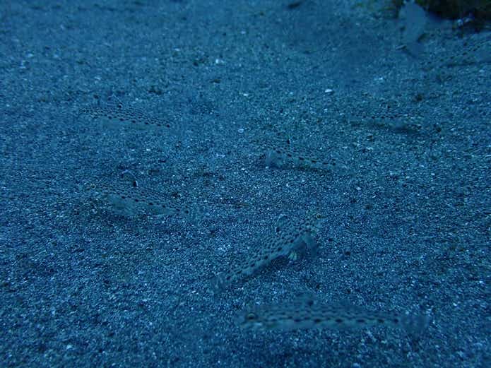海底