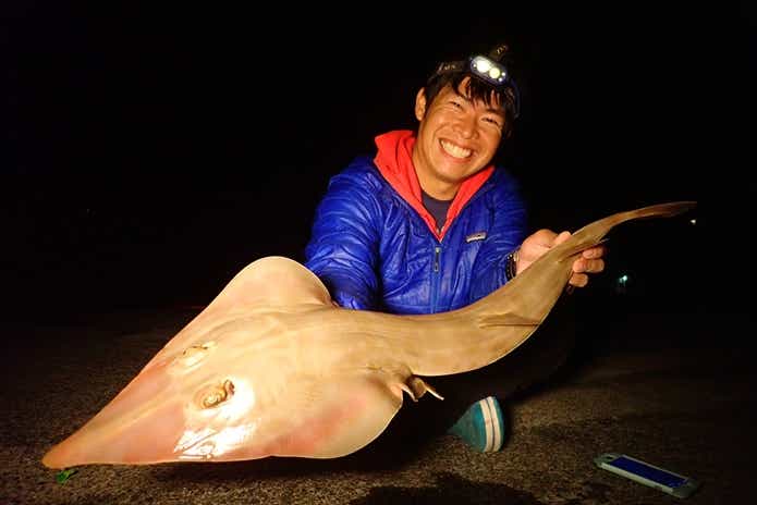 サカタザメ