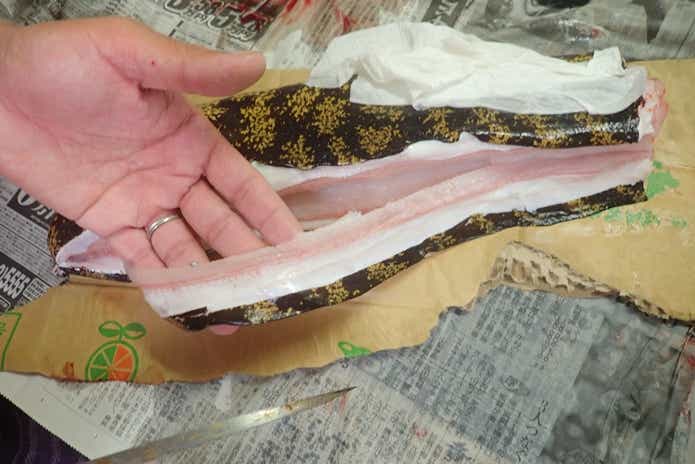ウツボ さばく