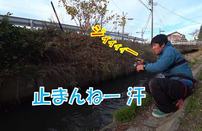 ティラピア 釣り