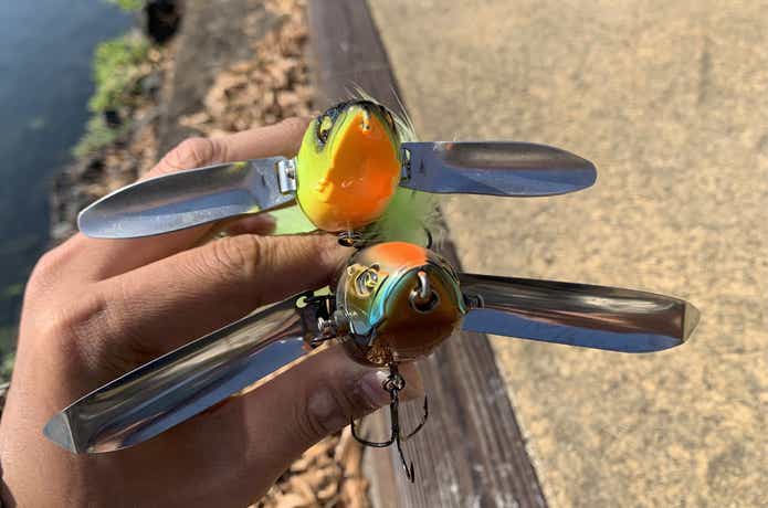 RVクローラーとダッジ