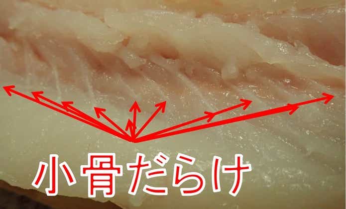 ウツボ 小骨
