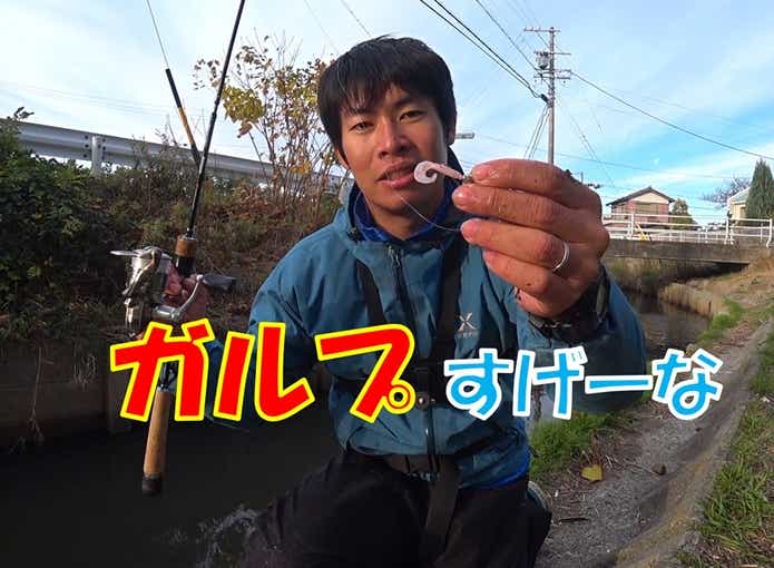 ティラピア 釣り