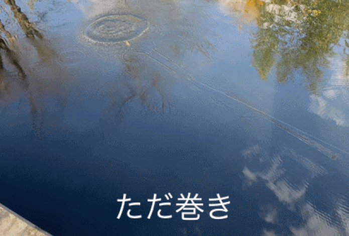ただ巻き