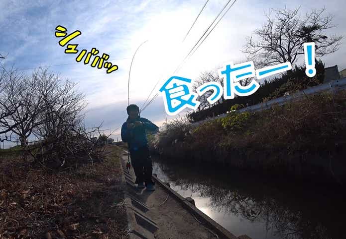 ティラピア 釣り