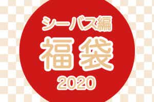 2020年福袋 シーバス編