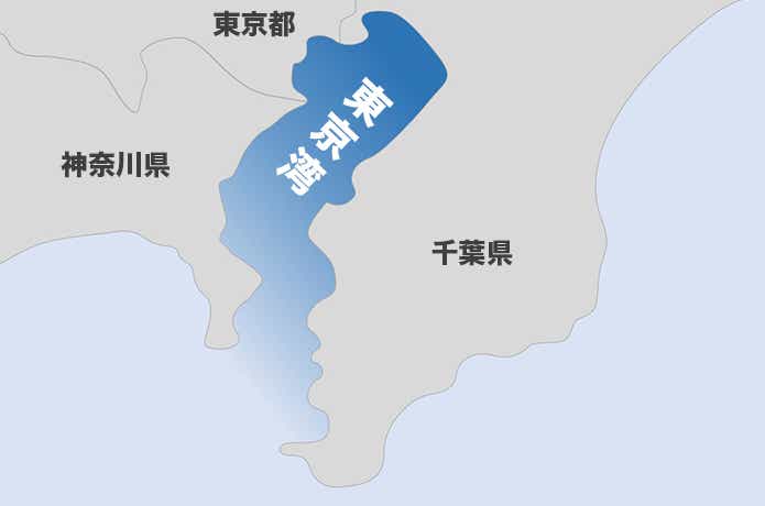冬の東京湾シーバスの基本