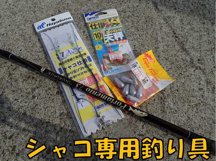シャコ釣り