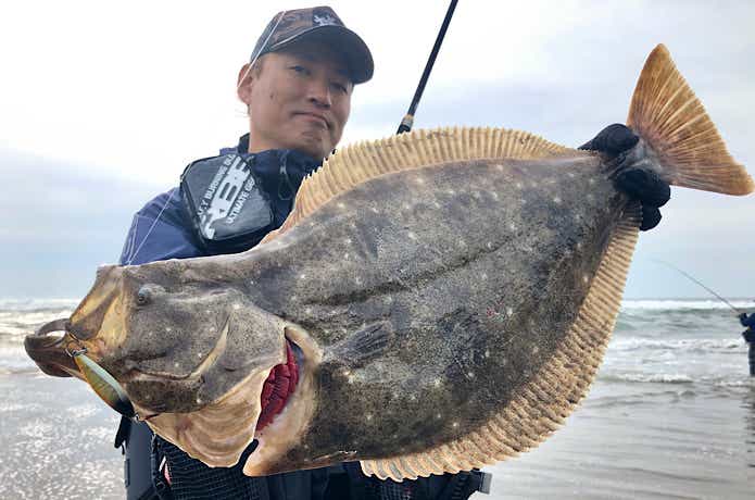 ルアーで釣れたヒラメ