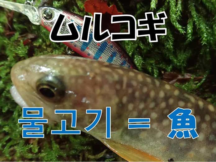 ムルコギ