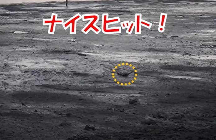 ムツゴロウ　ヒット