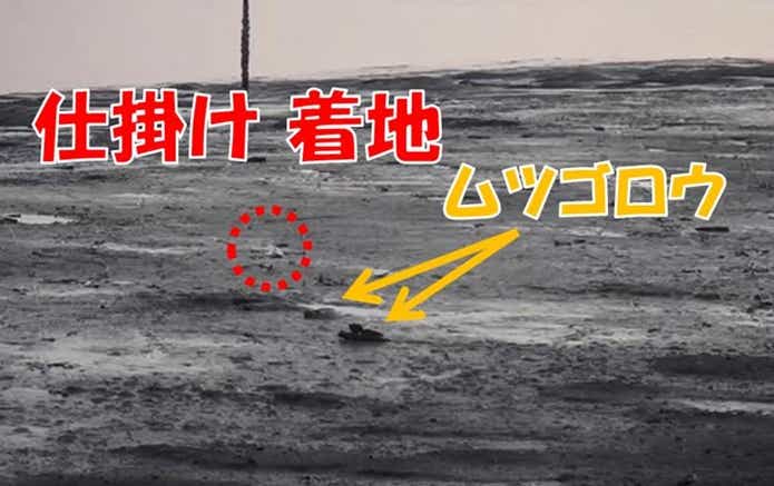 ムツゴロウ　釣り