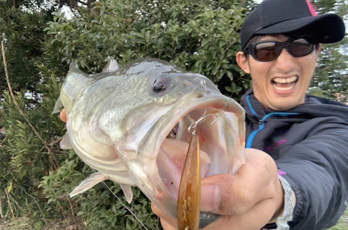 バンクシャッド　釣果