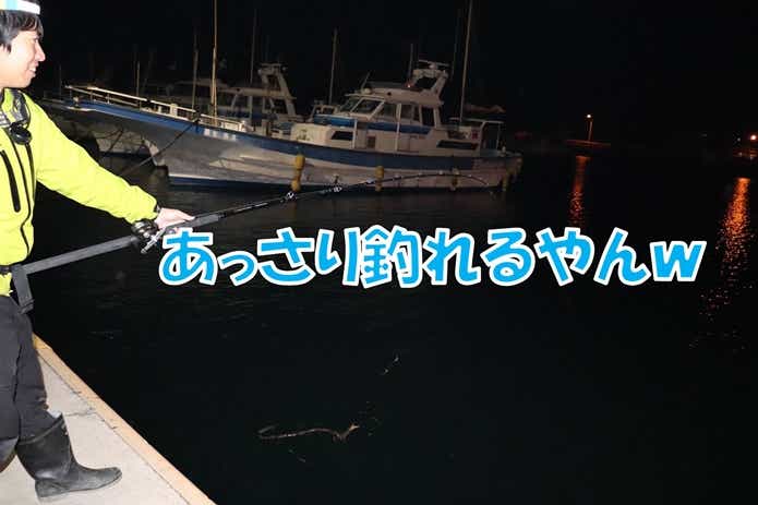 ダイナンウミヘビ