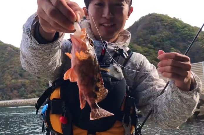 ボトムワインドの画像