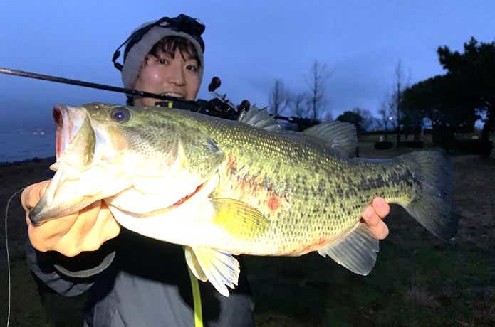 バスの釣果