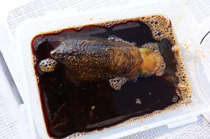アオリイカの沖漬けの画像