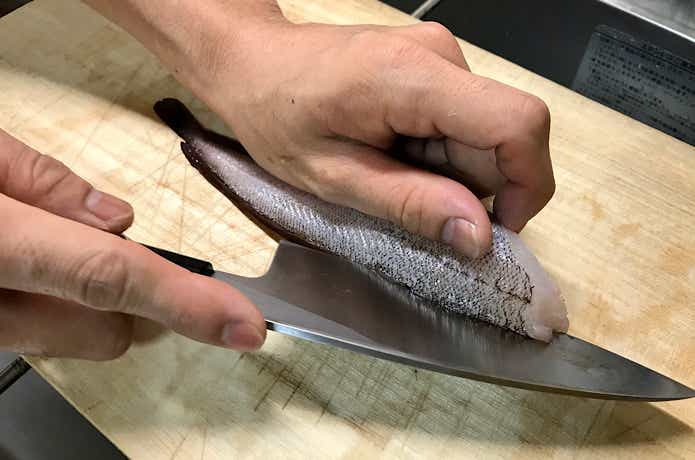 ドンコの捌き方