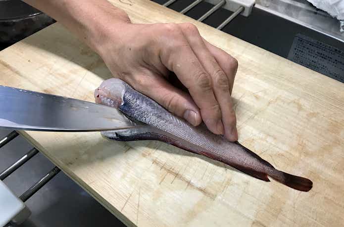 ドンコの捌き方