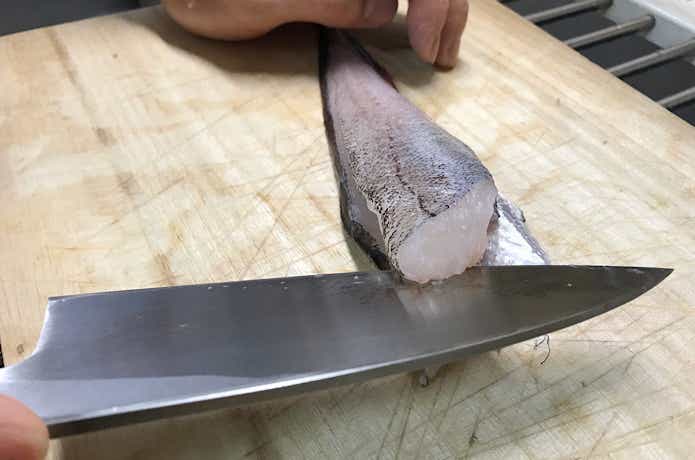 ドンコの捌き方