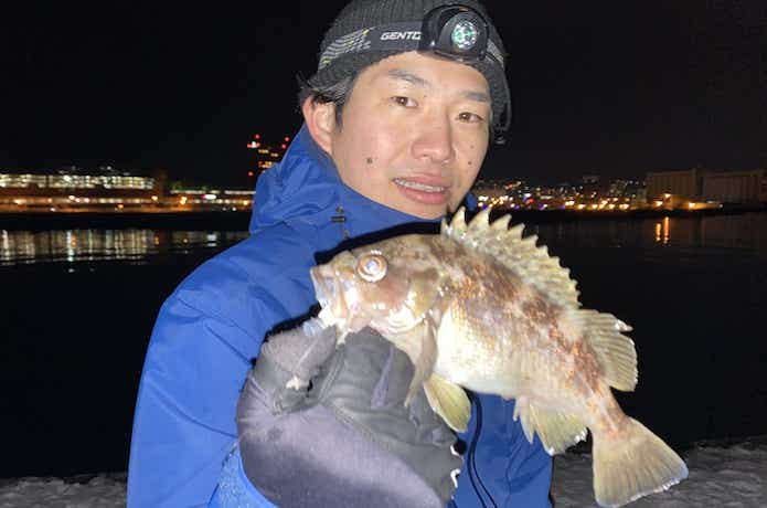 25センチのガヤ