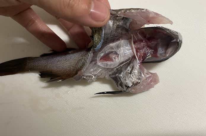 はらわたを取り除く