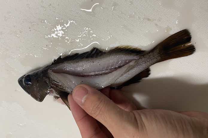 背開き