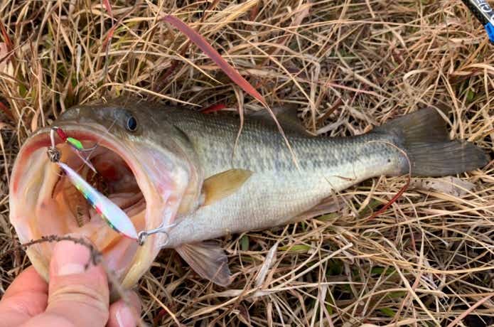 極寒なのに！？真冬でも「ショアバスジギング」の釣れっぷりが