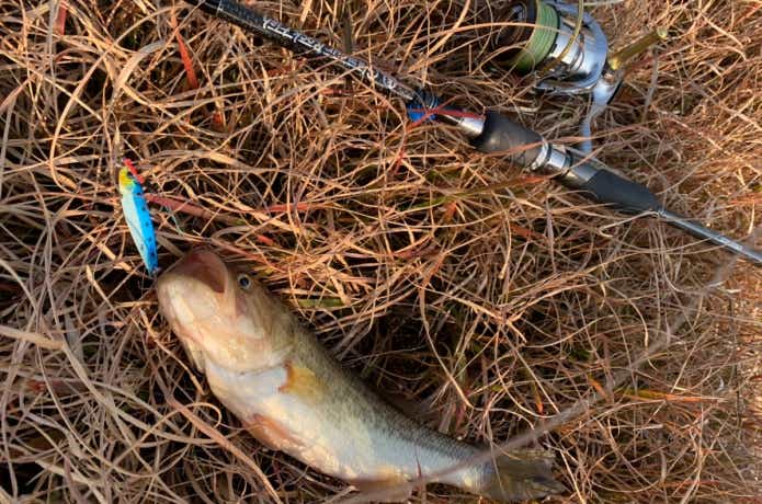 バス釣り】8月23日 坂川放水路釣行 | ktr2-fishermanのブログ