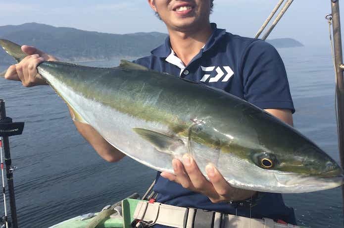青物