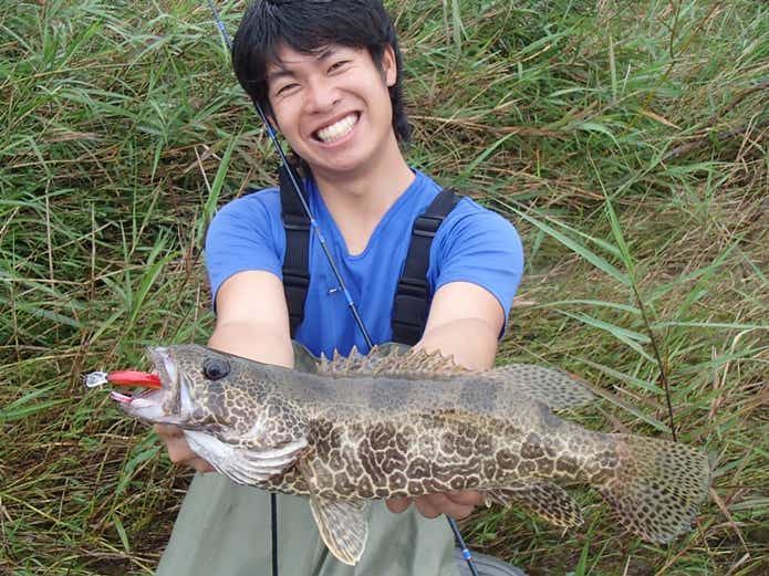 コウライケツギョ