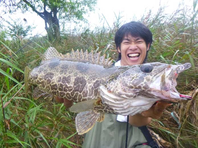 コウライケツギョ