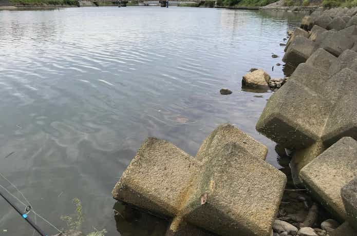 ボトムワインドの画像