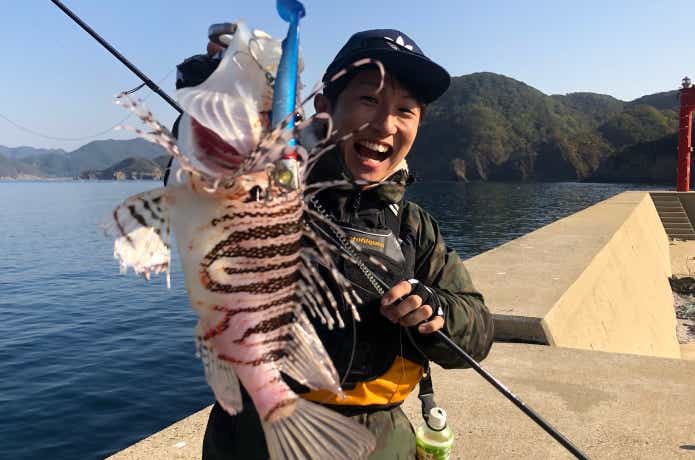 ジョルティで釣れたミノカサゴ