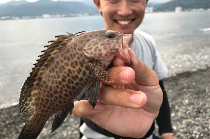 ボトムワインドの画像