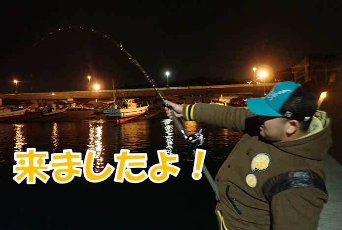 ダイナンウミヘビ ファイト