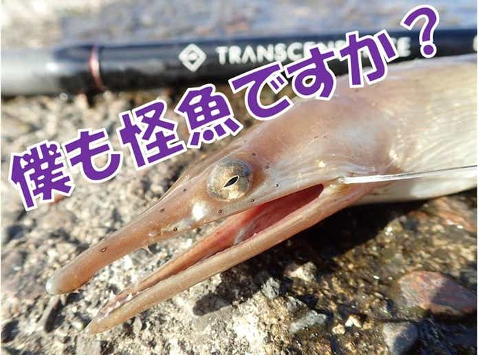ダイナンウミヘビ