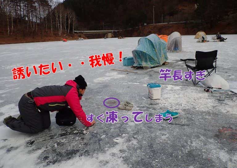 シナノユキマス　釣り