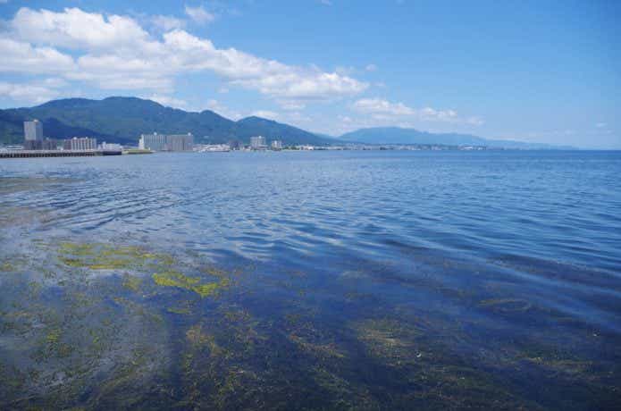 水中に出来る影