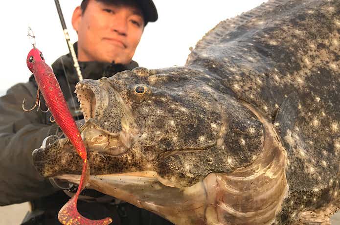 ワームで釣れたヒラメ