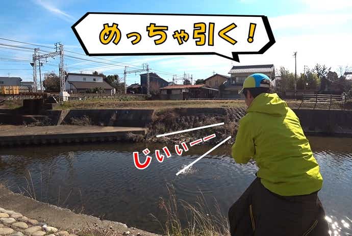 コイ