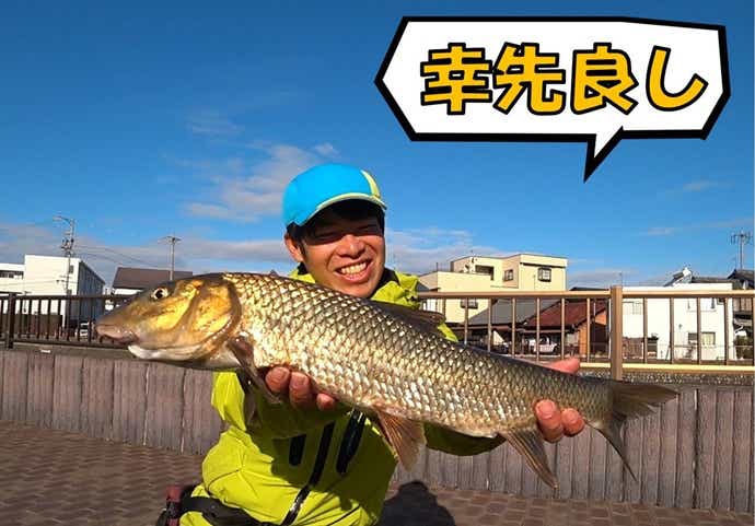 ニゴイ