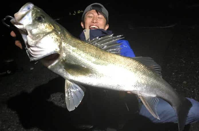 がまかつツインフックで釣ったシーバスの画像