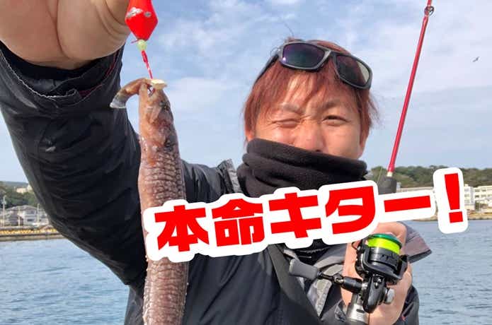 釣り上げたギンポ