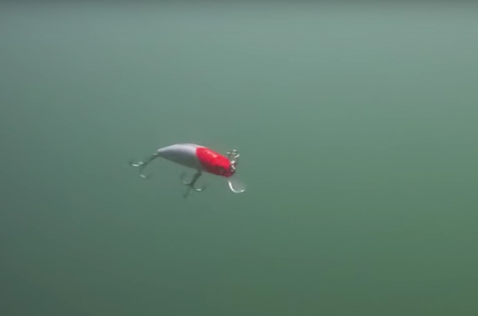 水中でのスイム姿勢