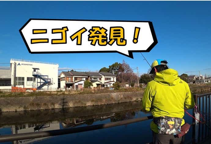ニゴイ