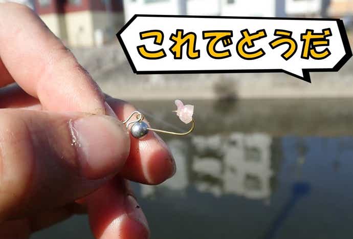 フナ　釣り