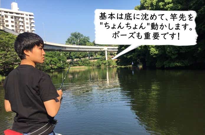 ネコリグの使い方